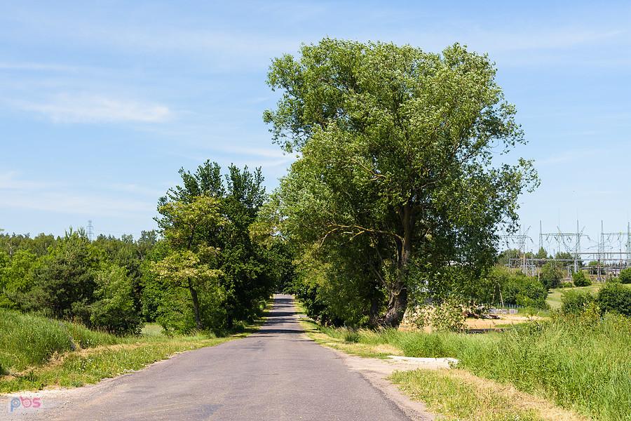 Droga przez miejscowość Sadowiec