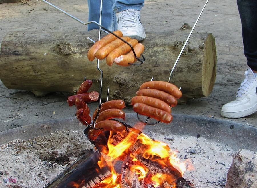 Pieczenie kiełbasek nad Wisłą