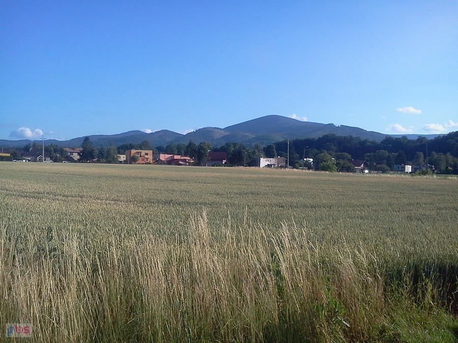 Widoczek na Ostry