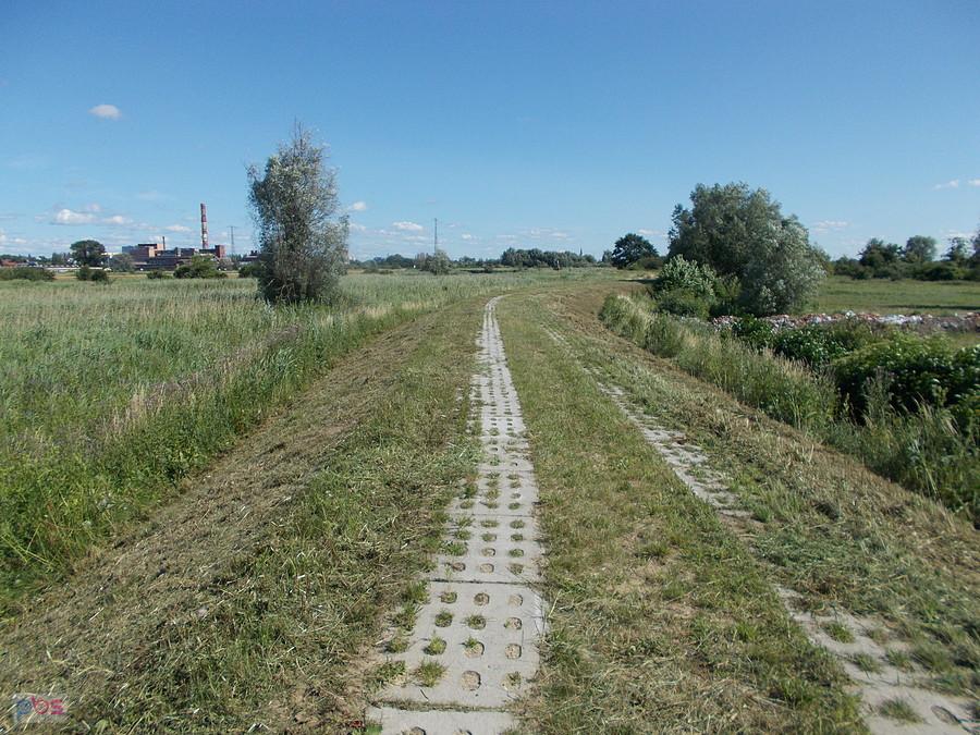 Wykoszona droga na wale w Bielniku