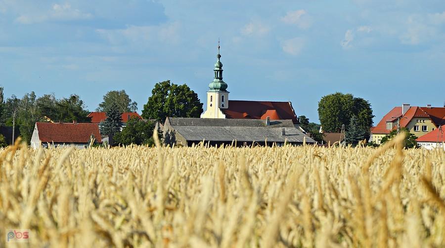 Brożecki kościół pw. Wszystkich Świętych