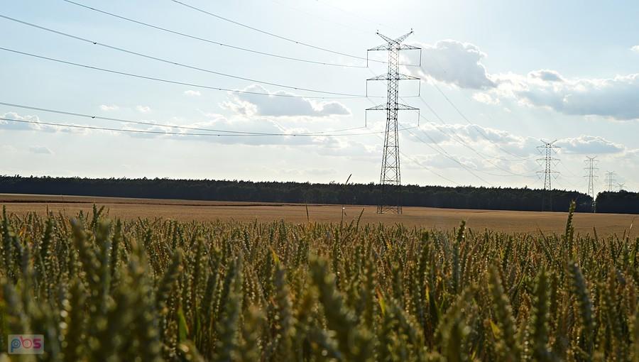 Piękne lato