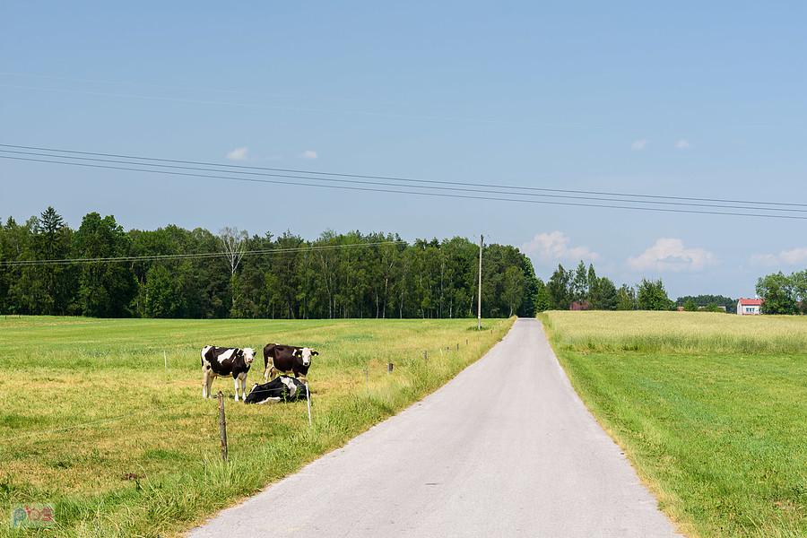 Ostrów w powiecie włoszczowskim