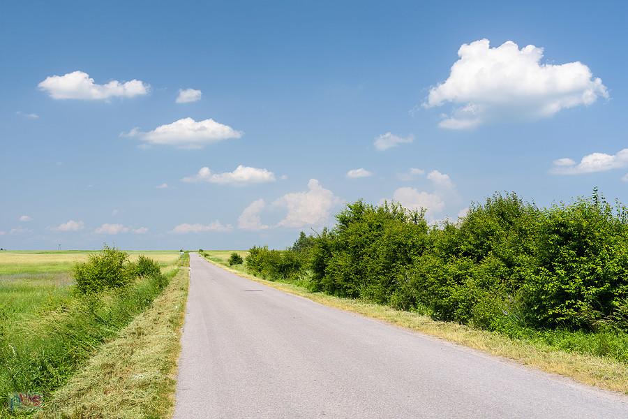 Puste drogi i skwar z nieba - Ostrów w powiecie włoszczowskim