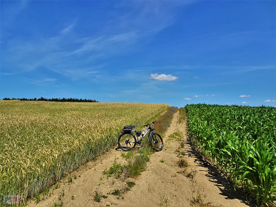 Lato na rowerze - wycieczka nad Jezioro Borówno Wielkie, popływać.