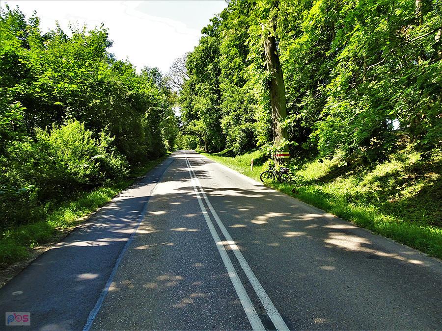 Lato na rowerze - wycieczka nad Jezioro Borówno Wielkie, popływać.