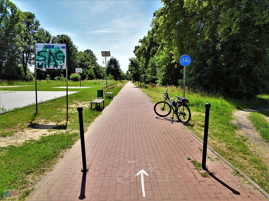 Lato na rowerze - wycieczka nad Jezioro Borówno Wielkie, popływać.