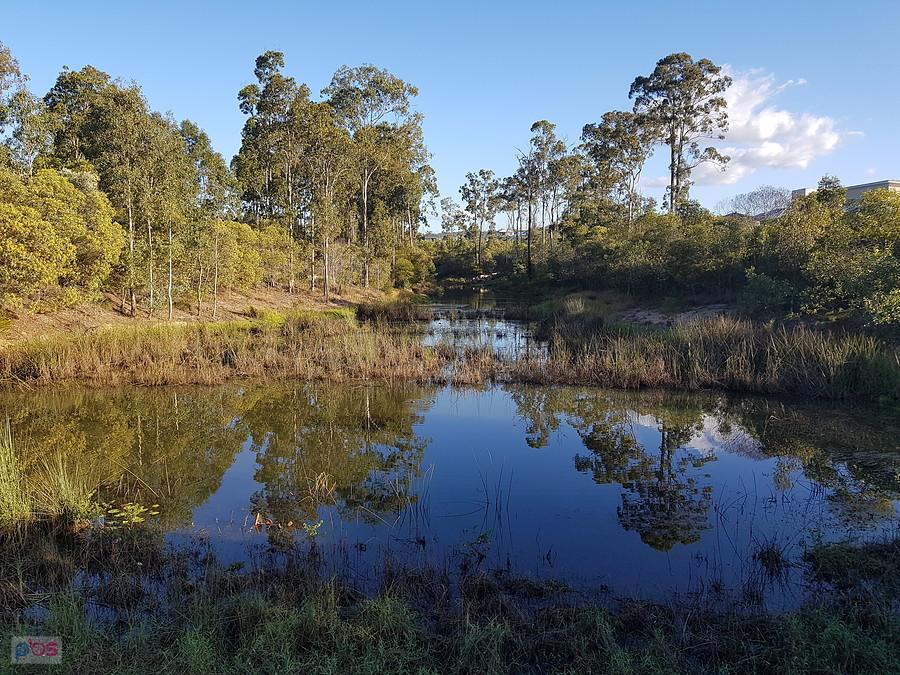 Opossum creek