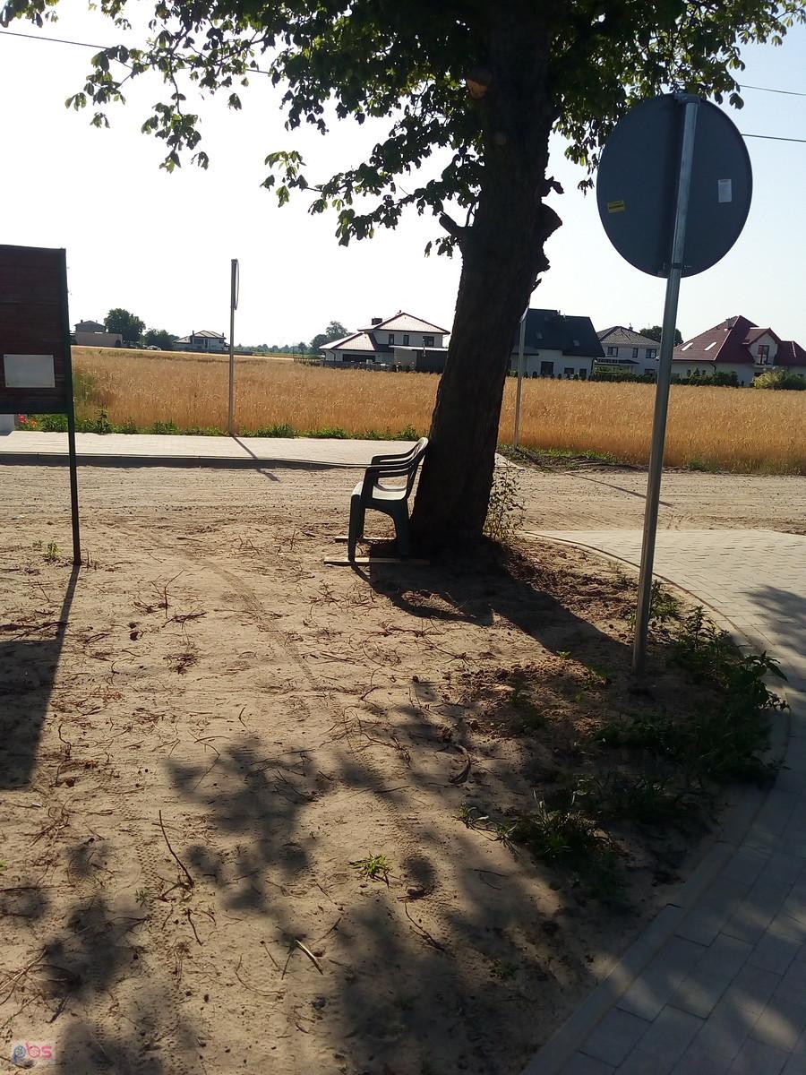Ławeczka pod drzewem