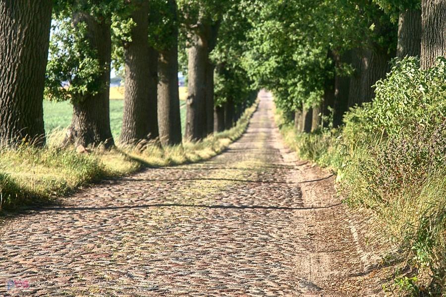 z Trzebienia do Rzeplina znowu droga brukowana