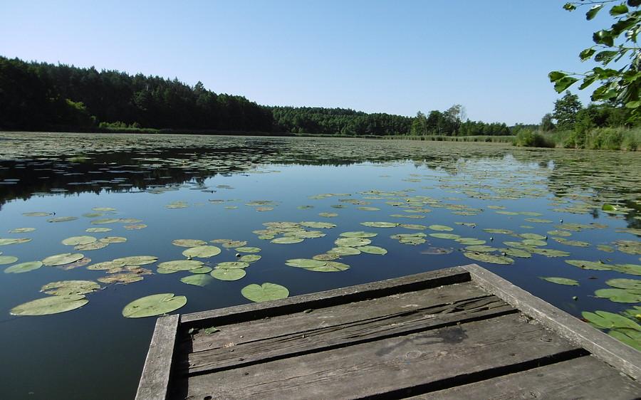 Klimacik przy Arboretum Lesnym w Zielonce