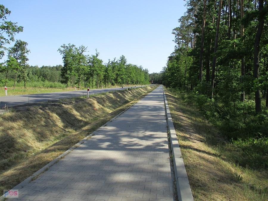 Prawie jak na Green Velo - Wspaniała trasa między Skierniewicami a Bolimowem