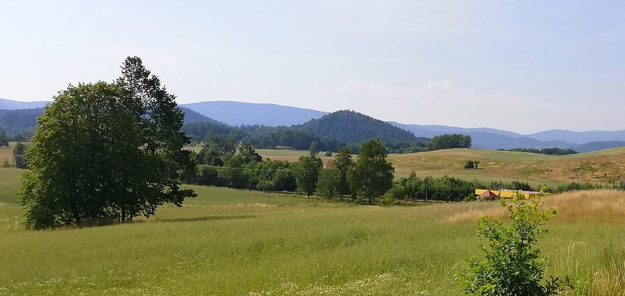 Jeden taki samotny - Rudawy, czyli u siebie :)