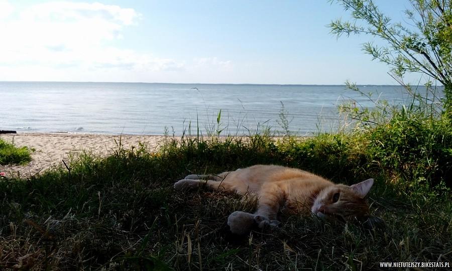 Koci wakacyjny relaks nad Zalewem Wiślanym