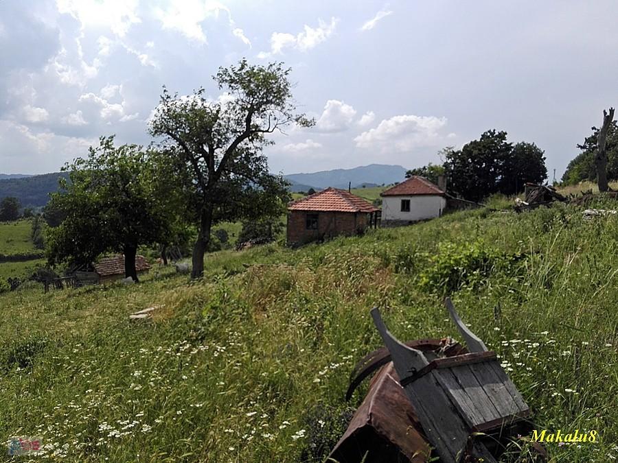 Przy wieży widokowej
