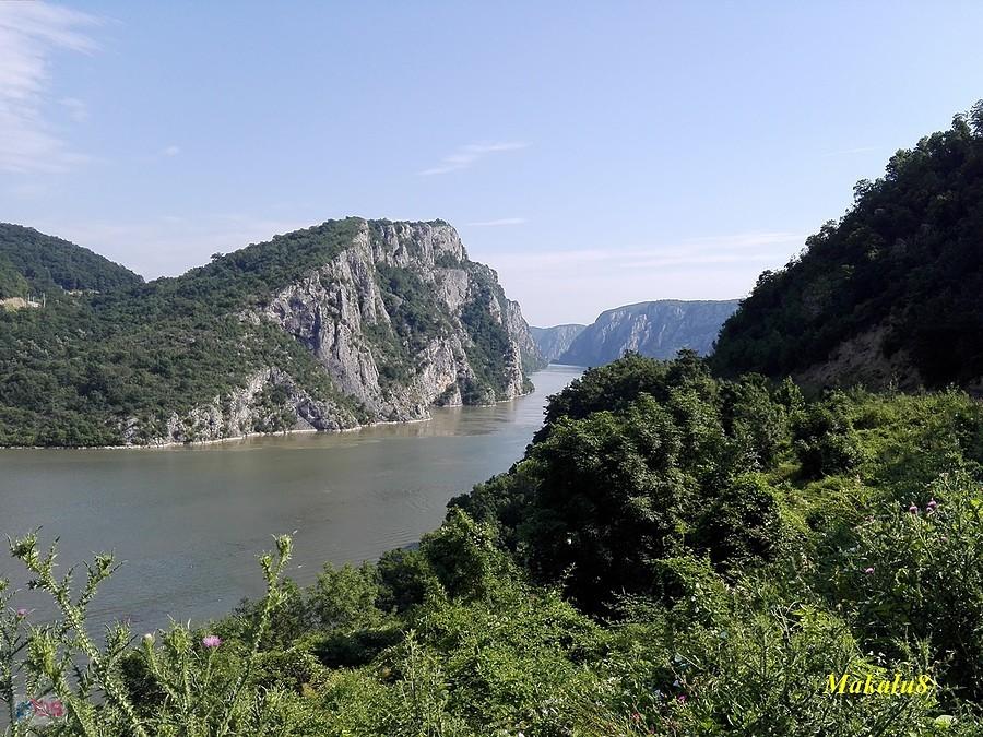 Dunaj