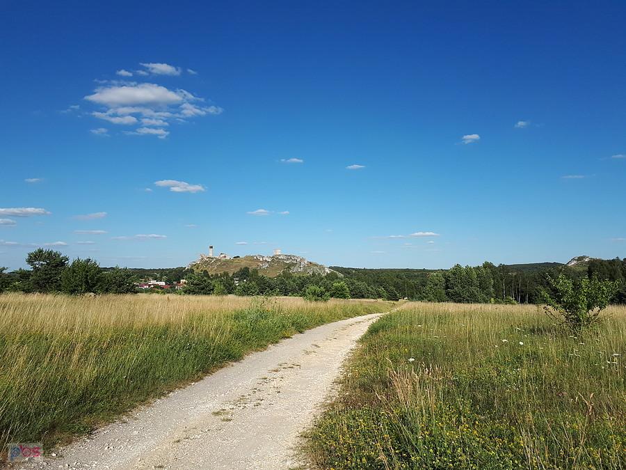 Z widokiem na Olsztyn od strony zachodniej - Jura Krakowsko-Częstochowska