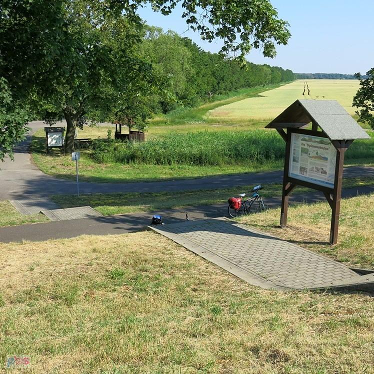 Trzeba rozprostować kości