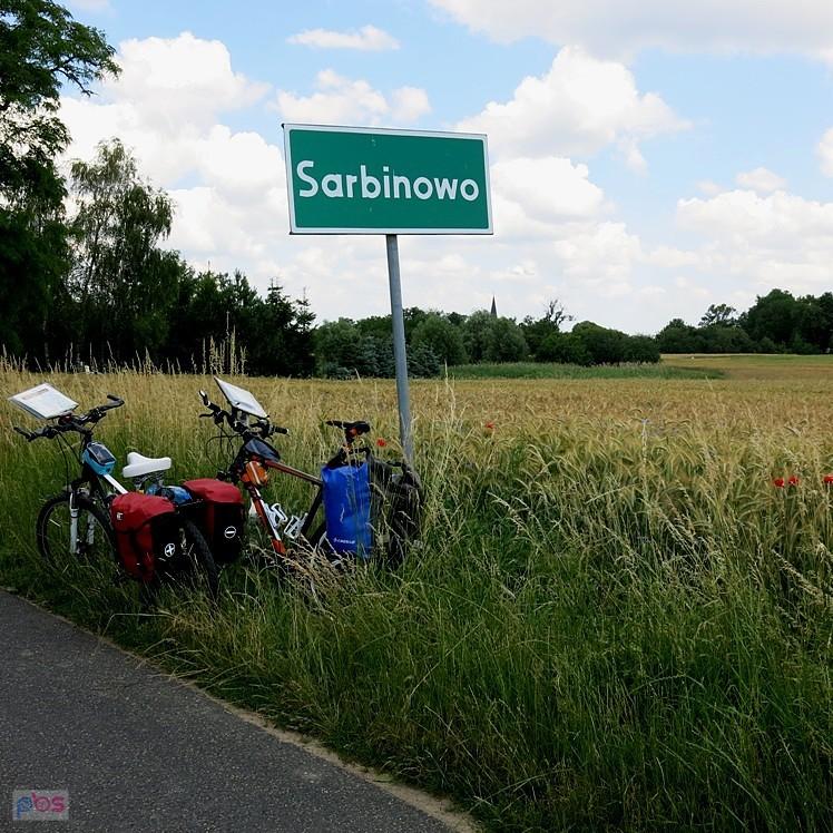 W Sarbinowie