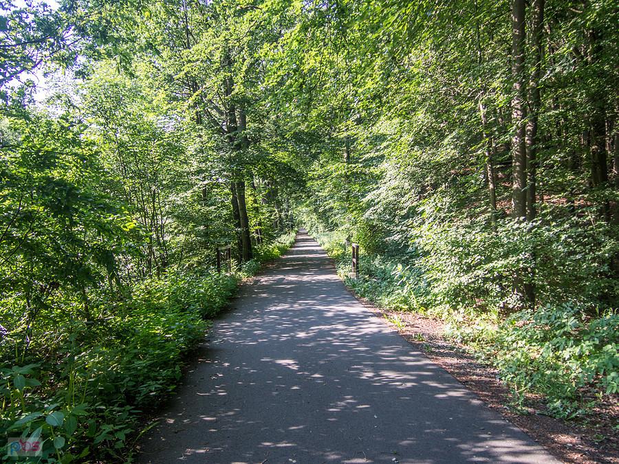 Niemieckie szlaki rowerowe