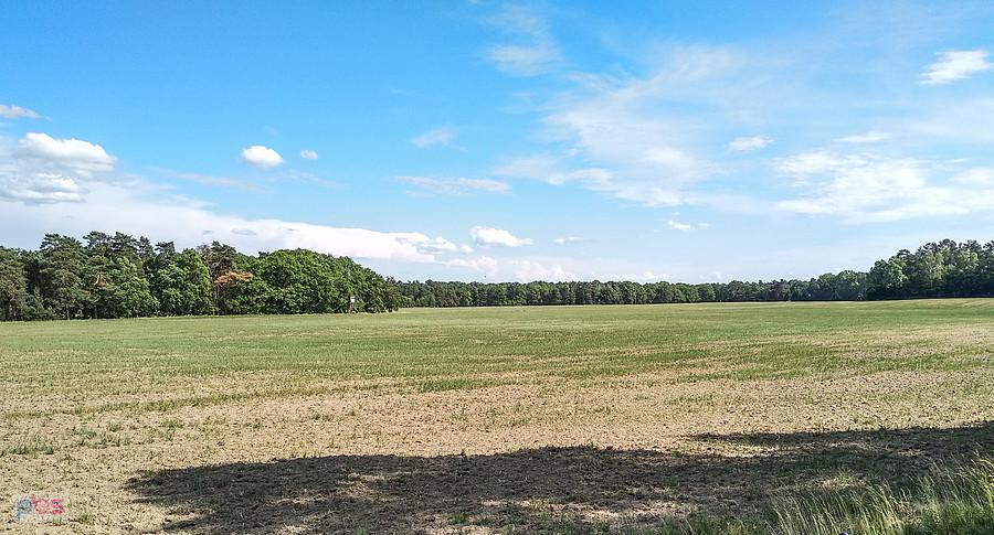 Pusto i płasko