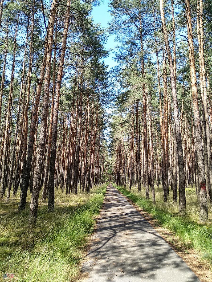 Chwila ulgi od skwaru
