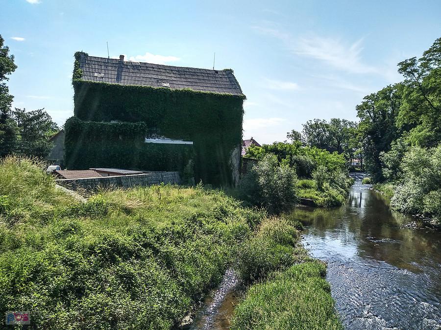 Okolice Radomierzyc