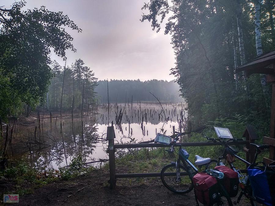 Rowerki dzielnie czekają