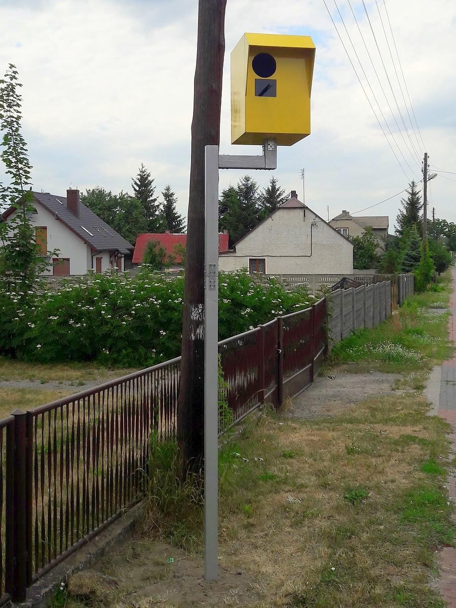 Pseudo fotoradar - budka dla ptaków w Kusiętach.