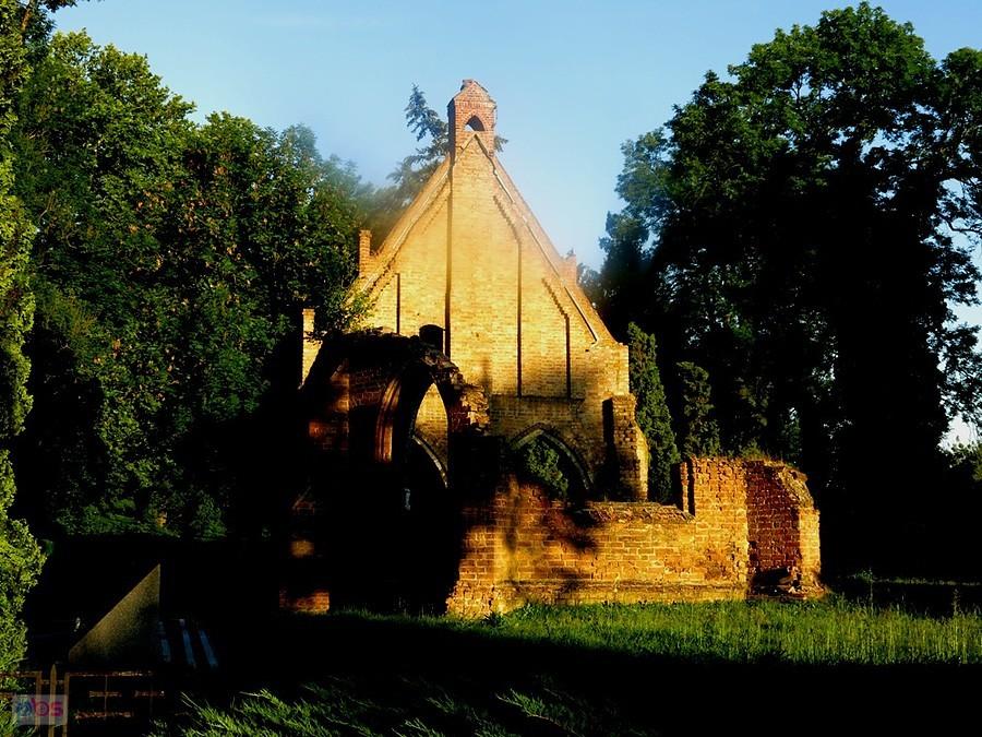 Chojna - ruiny kaplicy św. Gertrudy