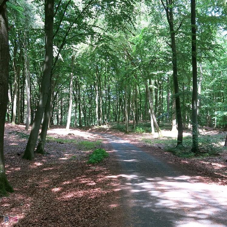 Szlakiem, lasem do Ahlbeck