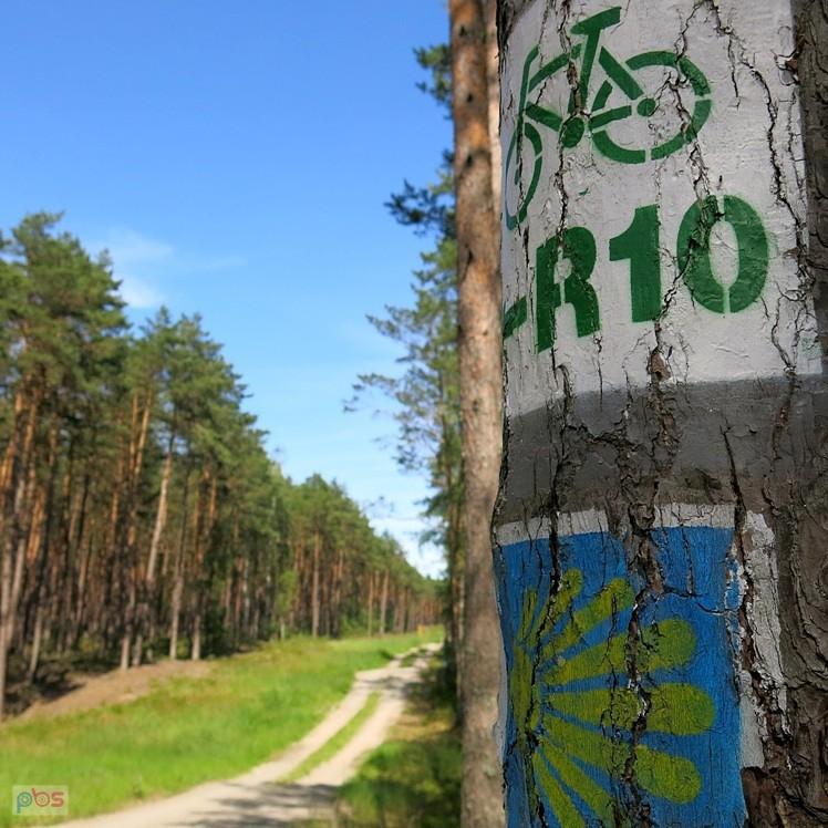 Oznaczenia szlaków