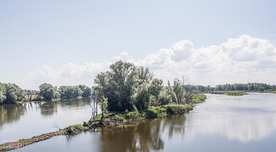Odra w okolicach Kostrzyna