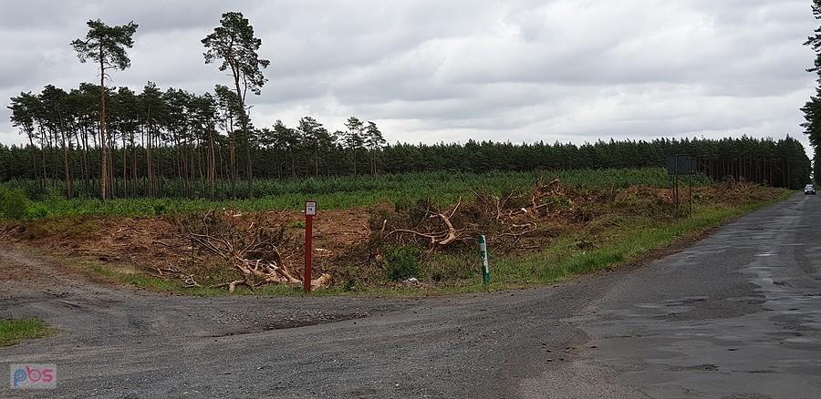 Dojazd pożarowy 16 i "znikający las"