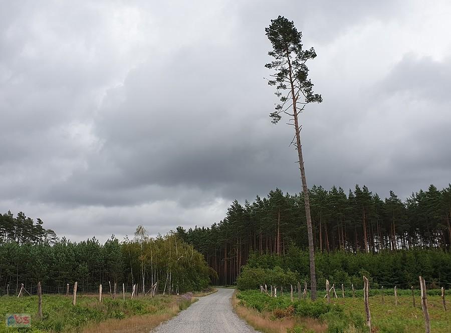 Dojazd pożarowy 40