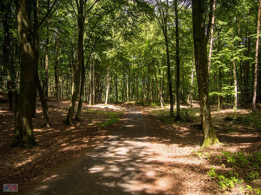 Rowerówka do Ahlbeck