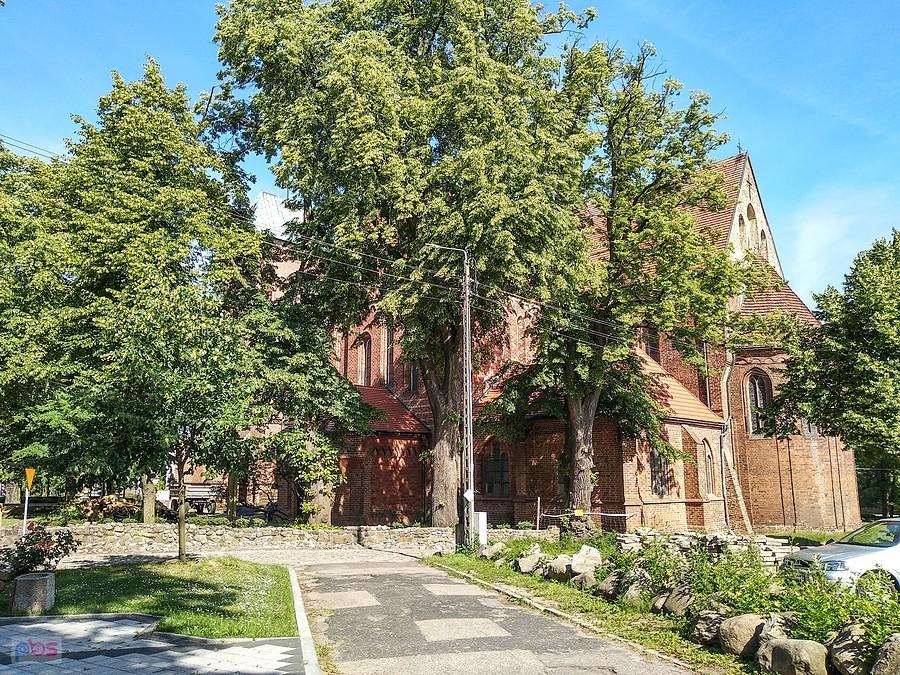 Katedra pw. Jana Chrzciciela w Kamieniu Pomorskim