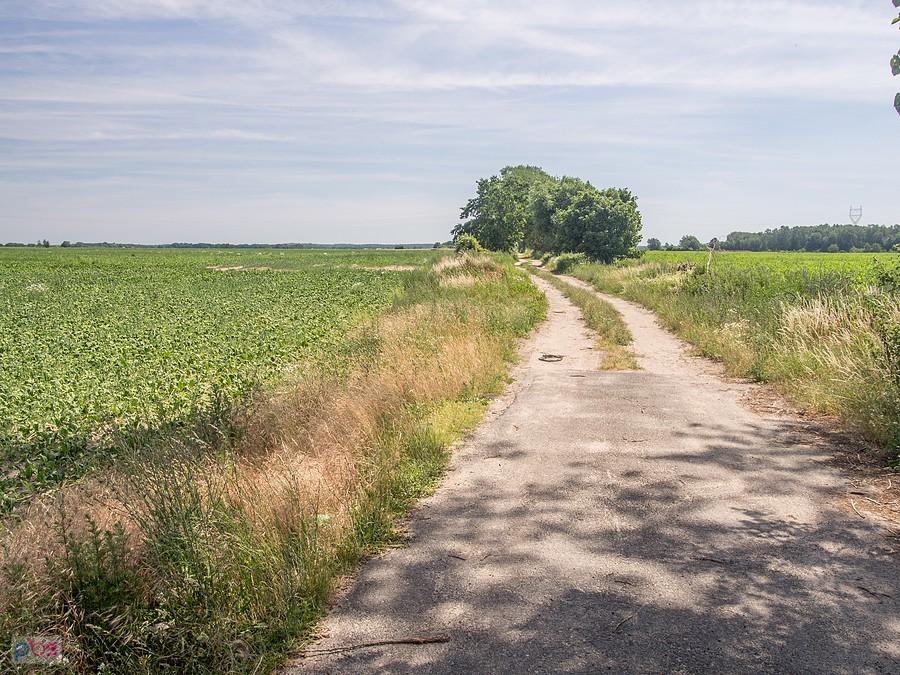 Zatrzymaliśmy się pod jedynym drzewem z możliwością zjazdu w okolicy...