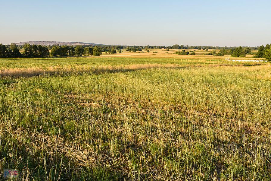 Osada Sowy we wsi Chorzew - widok w kierunku kopalni w Bełchatowie