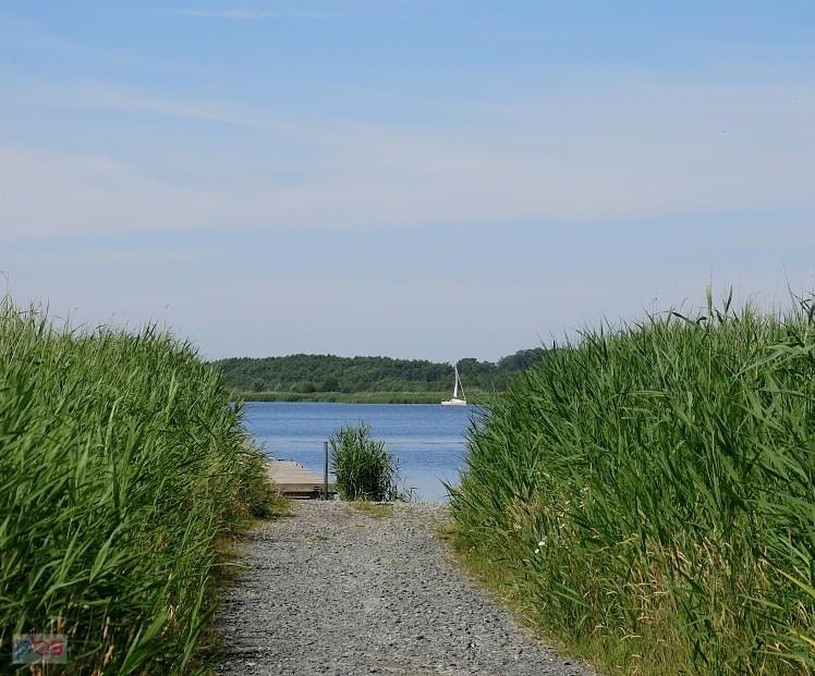 Nad Zatoką Cichą