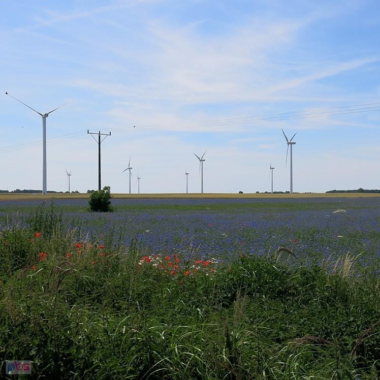 Strasznie wietrzna okolica