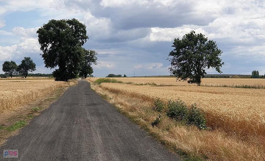Żużlówka wzdłuż S10