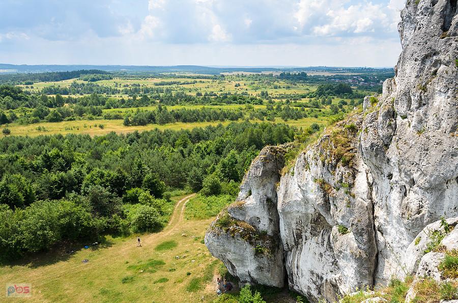 Widok na południowy zachód ze skał w Rzędkowicach