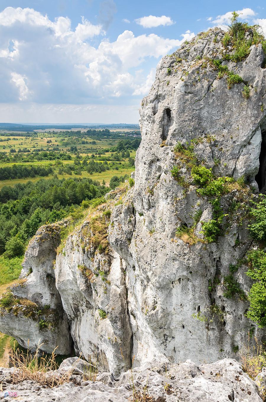 Widok na południowy zachód ze skał w Rzędkowicach