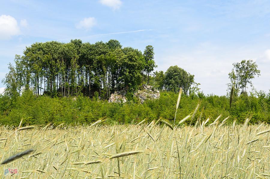 Skały obok szlaku "Dróżkami Św. Idziego" - Zrębice