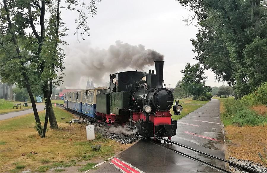 Maltanka w pełnej krasie, - Malta, Poznań