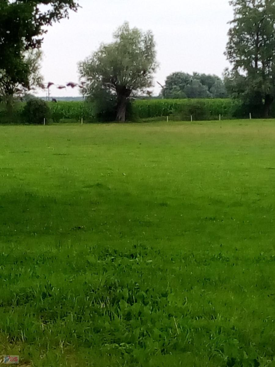 Jeden ruch i odfrunęły