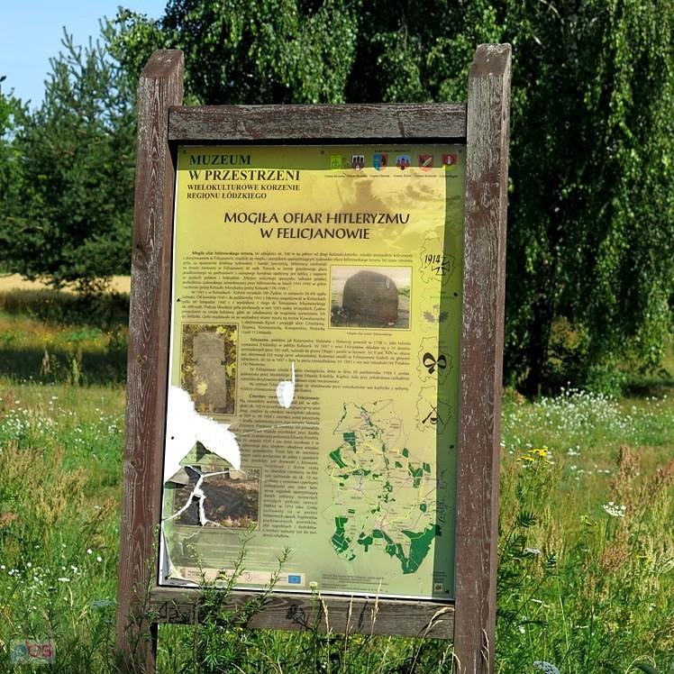 Muzeum w Przestrzeni - Felicjanów
