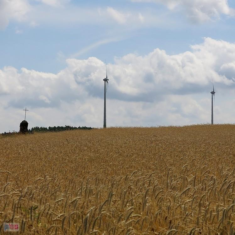 Na Sławieńskich Wzgórzach