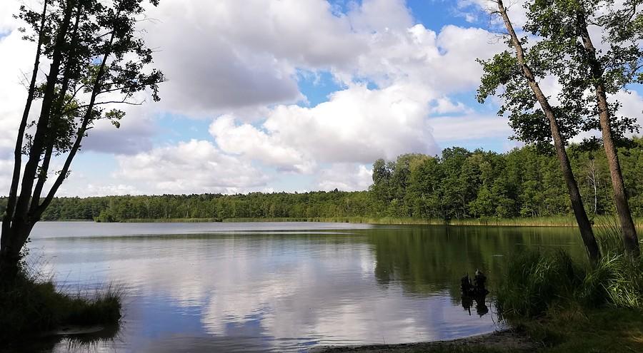 Sielanka, ludzkości zero - Jezioro Strzeszyńskie